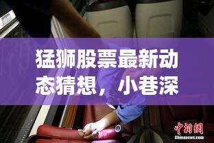 猛狮股票最新动态解析与小巷特色小店的神秘面纱揭秘