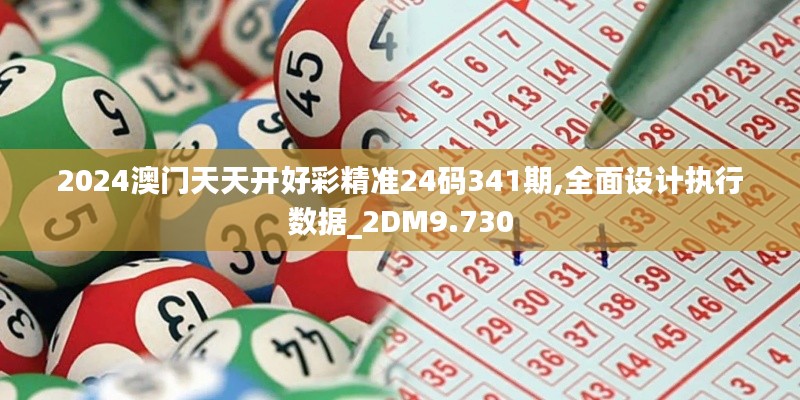 2024澳门天天开好彩精准24码341期,全面设计执行数据_2DM9.730
