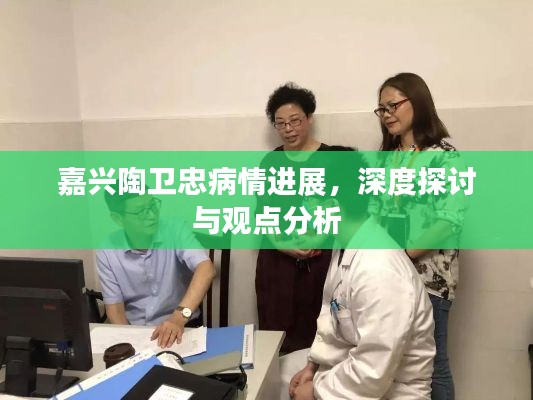 嘉兴陶卫忠病情最新进展深度探讨与观点分析