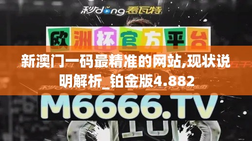 新澳门一码最精准的网站,现状说明解析_铂金版4.882