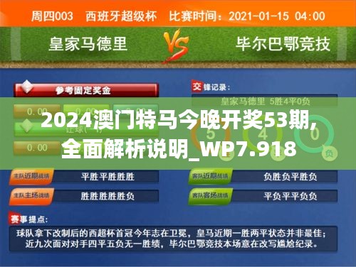 2024澳门特马今晚开奖53期,全面解析说明_WP7.918