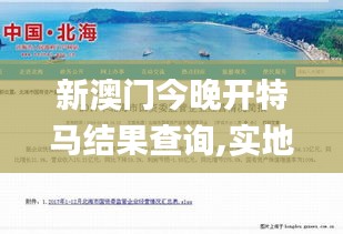 新澳门今晚开特马结果查询,实地解析数据考察_专属版8.114