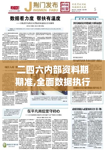 二四六内部资料期期准,全面数据执行计划_精简版5.597