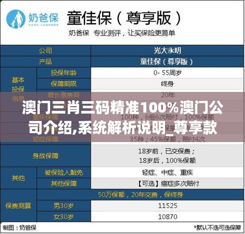 澳门三肖三码精准100%澳门公司介绍,系统解析说明_尊享款3.904