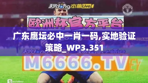 广东鹰坛必中一肖一码,实地验证策略_WP3.351
