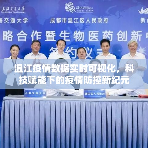 温江疫情数据实时可视化，科技引领疫情防控新纪元