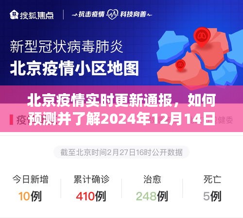 北京疫情实时更新通报，预测与了解未来疫情状况的路径分析