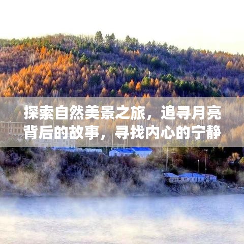 追寻月亮背后的故事，自然美景之旅探寻内心宁静与和谐