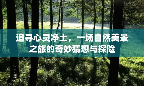 2024年12月30日 第19页