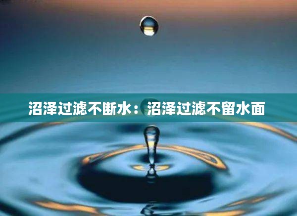 沼泽过滤不断水：沼泽过滤不留水面 