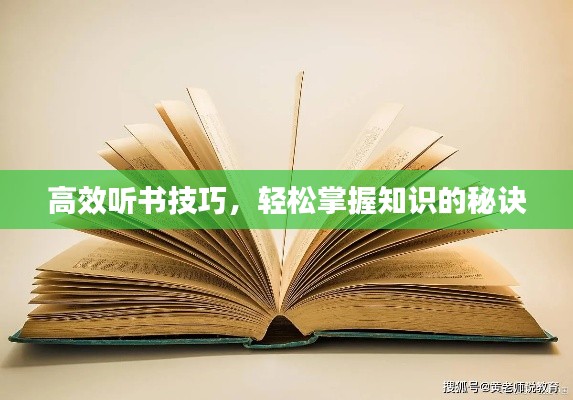 高效听书技巧，轻松掌握知识的秘诀