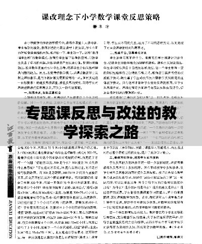 专题课反思与改进的教学探索之路