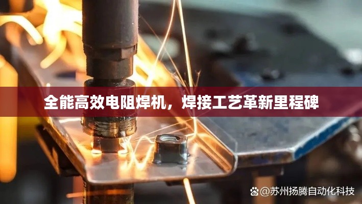 2025年1月7日 第16页
