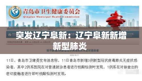 突发辽宁阜新：辽宁阜新新增新型肺炎 