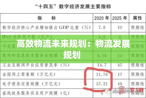 高效物流未来规划：物流发展规划 