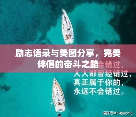 励志语录与美图分享，完美伴侣的奋斗之路