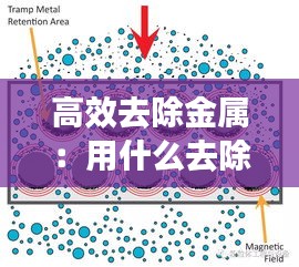 高效去除金属：用什么去除金属杂质 