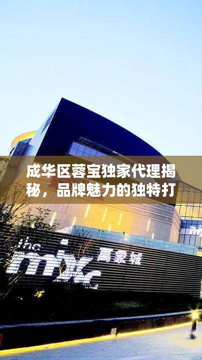 成华区蓉宝独家代理揭秘，品牌魅力的独特打造之路
