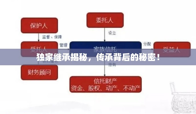 独家继承揭秘，传承背后的秘密！