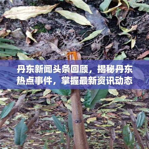丹东新闻头条回顾，揭秘丹东热点事件，掌握最新资讯动态