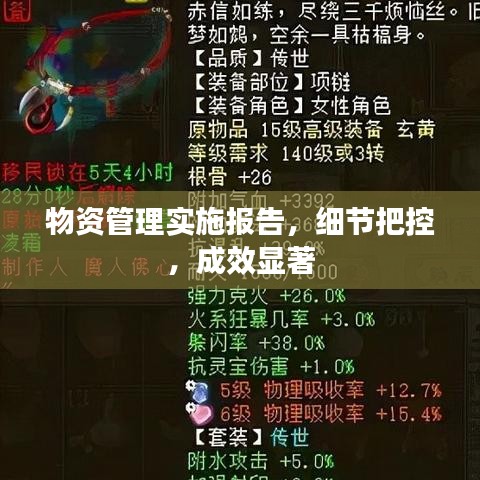 物资管理实施报告，细节把控，成效显著