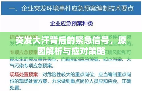 突发大汗背后的紧急信号，原因解析与应对策略