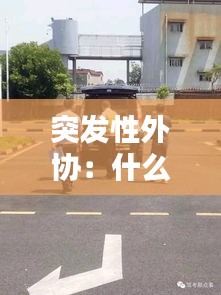 突发性外协：什么是突发意外 