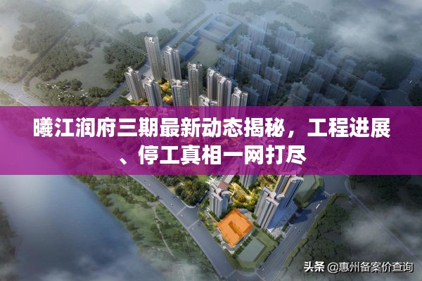 凤鸟不至 第2页