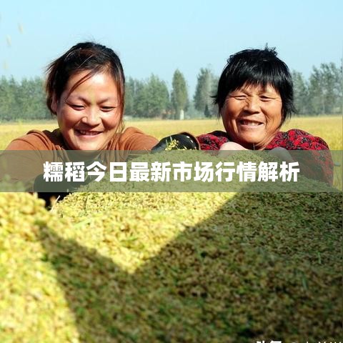 靡颜腻理 第2页
