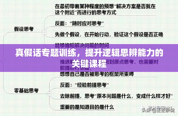 真假话专题训练，提升逻辑思辨能力的关键课程