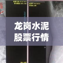 龙岗水泥股票行情解析，今日最新动态一网打尽