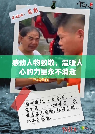 2025年6月 第86页