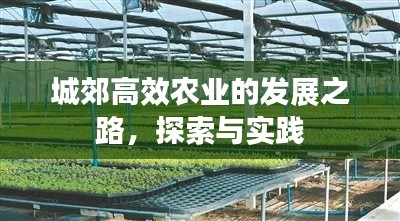 鸟入樊笼