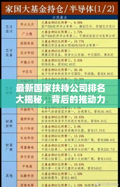 最新国家扶持公司排名大揭秘，背后的推动力究竟为何？