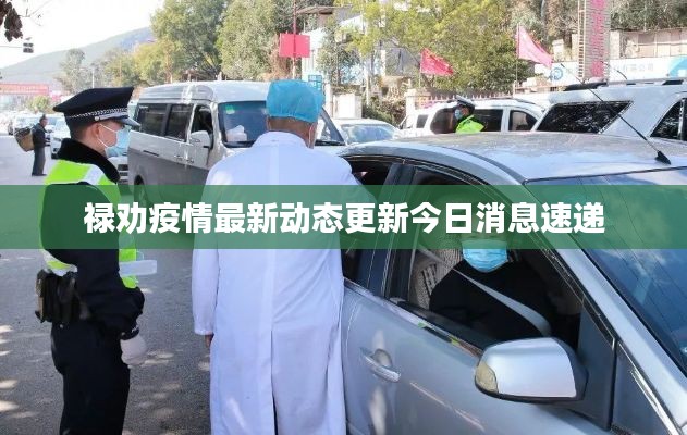 禄劝疫情最新动态更新今日消息速递