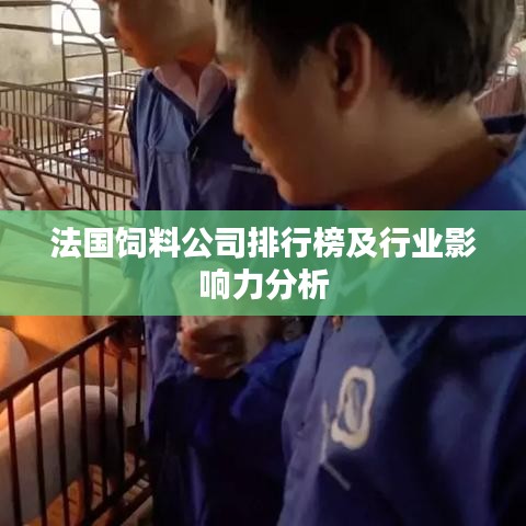 法国饲料公司排行榜及行业影响力分析