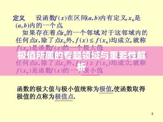 极值所属的专题领域与重要性解析