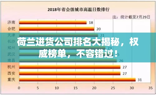 荷兰进货公司排名大揭秘，权威榜单，不容错过！