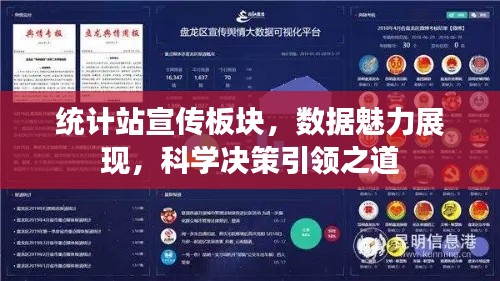 统计站宣传板块，数据魅力展现，科学决策引领之道
