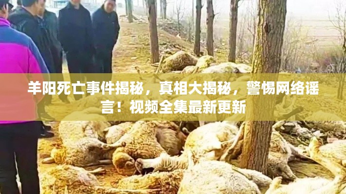 羊阳死亡事件揭秘，真相大揭秘，警惕网络谣言！视频全集最新更新