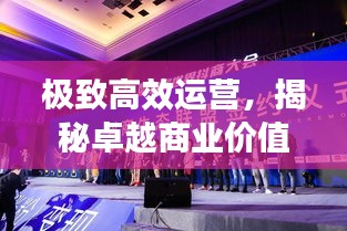 极致高效运营，揭秘卓越商业价值的打造秘诀