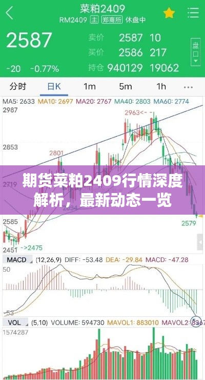 期货菜粕2409行情深度解析，最新动态一览