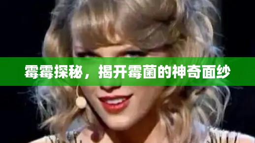 霉霉探秘，揭开霉菌的神奇面纱