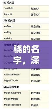 骁的名字，深度解析骁的含义与历史背景，让你大开眼界！