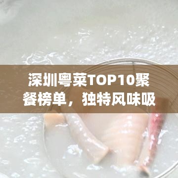 深圳粤菜TOP10聚餐榜单，独特风味吸引味蕾之旅