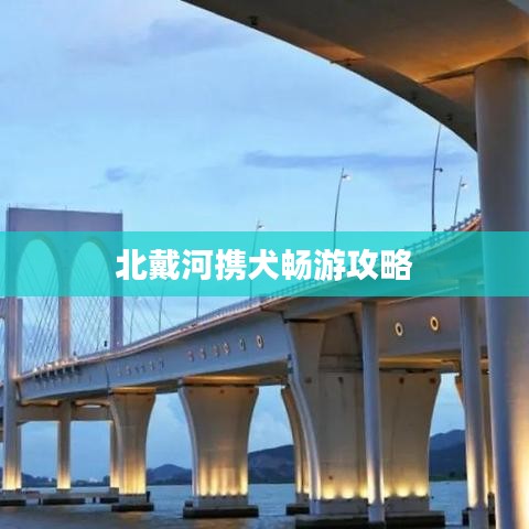 北戴河携犬畅游攻略