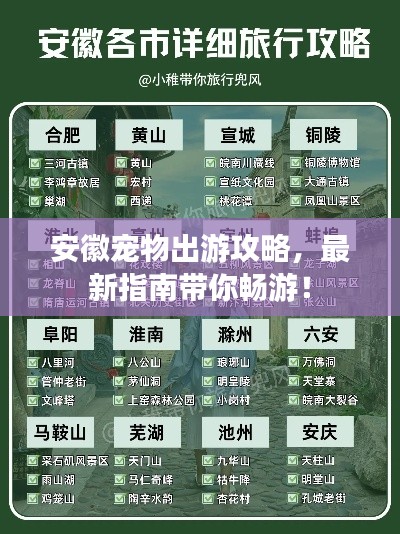 安徽宠物出游攻略，最新指南带你畅游！