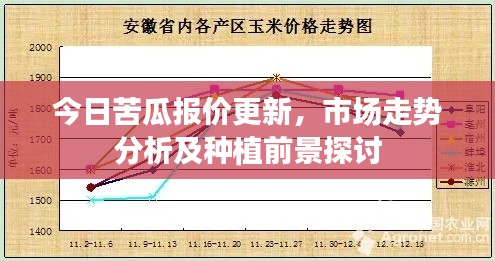 今日苦瓜报价更新，市场走势分析及种植前景探讨