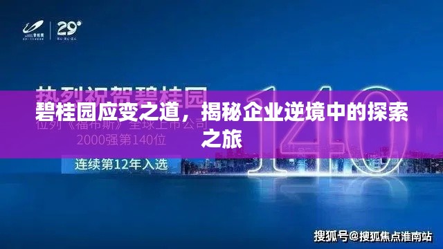 碧桂园应变之道，揭秘企业逆境中的探索之旅