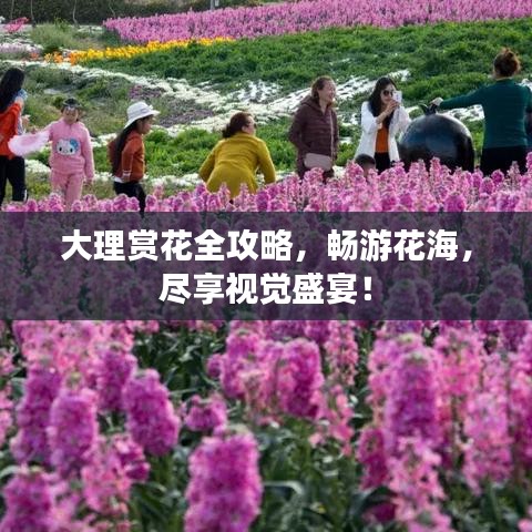 大理赏花全攻略，畅游花海，尽享视觉盛宴！